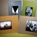 Adorable Blank Cards-set of 4