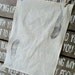 Feather - Organic Tea Towel