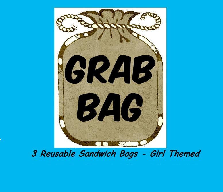 GRAB BAG SALE- 3 Reusable, Eco-friendly Sandwich Bags - Girl Themed Fabrics