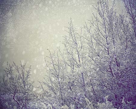 SALE Winter Landscape Photography - dreamy trees winter wonderland white fluffy snow flakes cold storm home decor woodland -Snow Day - AmeliaKayPhotography