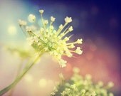 Little Flowers In A Dream - Fine Art Flora Photograph 8x10 - lime green pastel pink purple bright royal blue dreamy whimsical