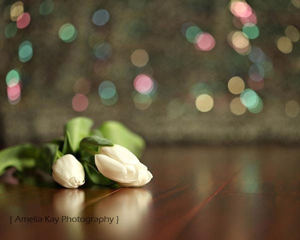 White Tulip Photograph - Three White Tulips - abstract flower spring glitter bokeh sparkle light red green black brown 8x10 - AmeliaKayPhotography