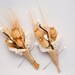 Wedding boutonniere, winter wheat and vintage lace