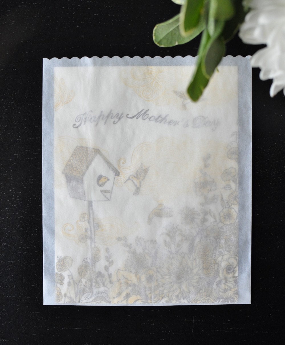 4.75 x 6.75 Glassine Bags - Set of 25