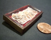 Miniature Ancient Egyptian Papyrus in Museum Display Case