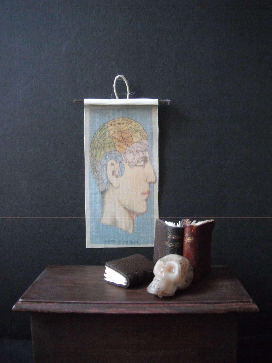 Miniature Natural History Chart --- Phrenology