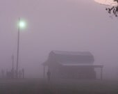 Waking 11x17 Photograph
