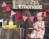 Strawberry Shortcake Birthday Party Decoration, Banner, Girls Playroom Bunting, Newborn Photo Prop -- red, pink, white fabric flags