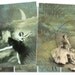 Ballerina Backgrounds Collage Sheet - Dancers in Fairy Tale Swirly ACEO Images - Digital Download - Printable