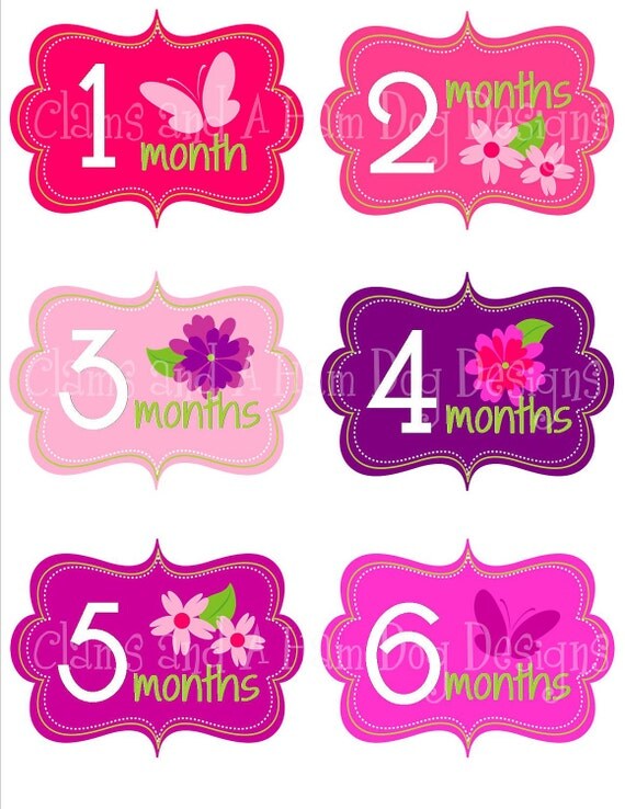 Monthly onesie stickers- Girls Hot Pink Flowers and Butterflies- baby girl onesie bodysuit stickers - perfect baby shower gift