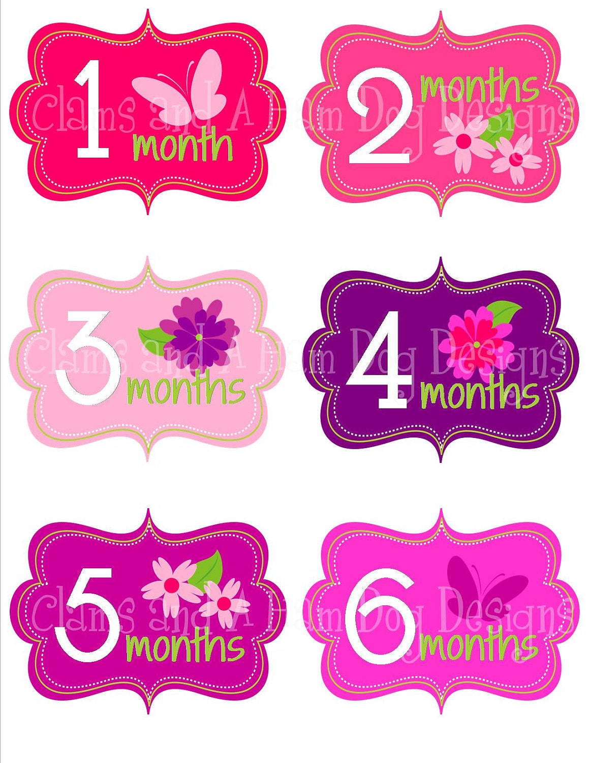 Monthly onesie stickers- Girls Hot Pink Flowers and Butterflies- baby girl onesie bodysuit stickers - perfect baby shower gift