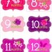 Monthly onesie stickers- Girls Hot Pink Flowers and Butterflies- baby girl onesie bodysuit stickers - perfect baby shower gift