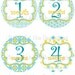 Monthly onesie stickers- Girls blue and orange geometric flowers - perfect baby shower gift - onesie stickers