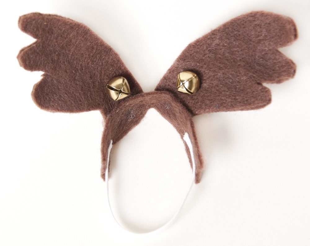 Reindeer Antlers