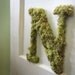 Letter N Custom Moss Hanging Wreath Initial