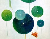 Limited Edition Print A4 size - A very small pond / crab 17/50