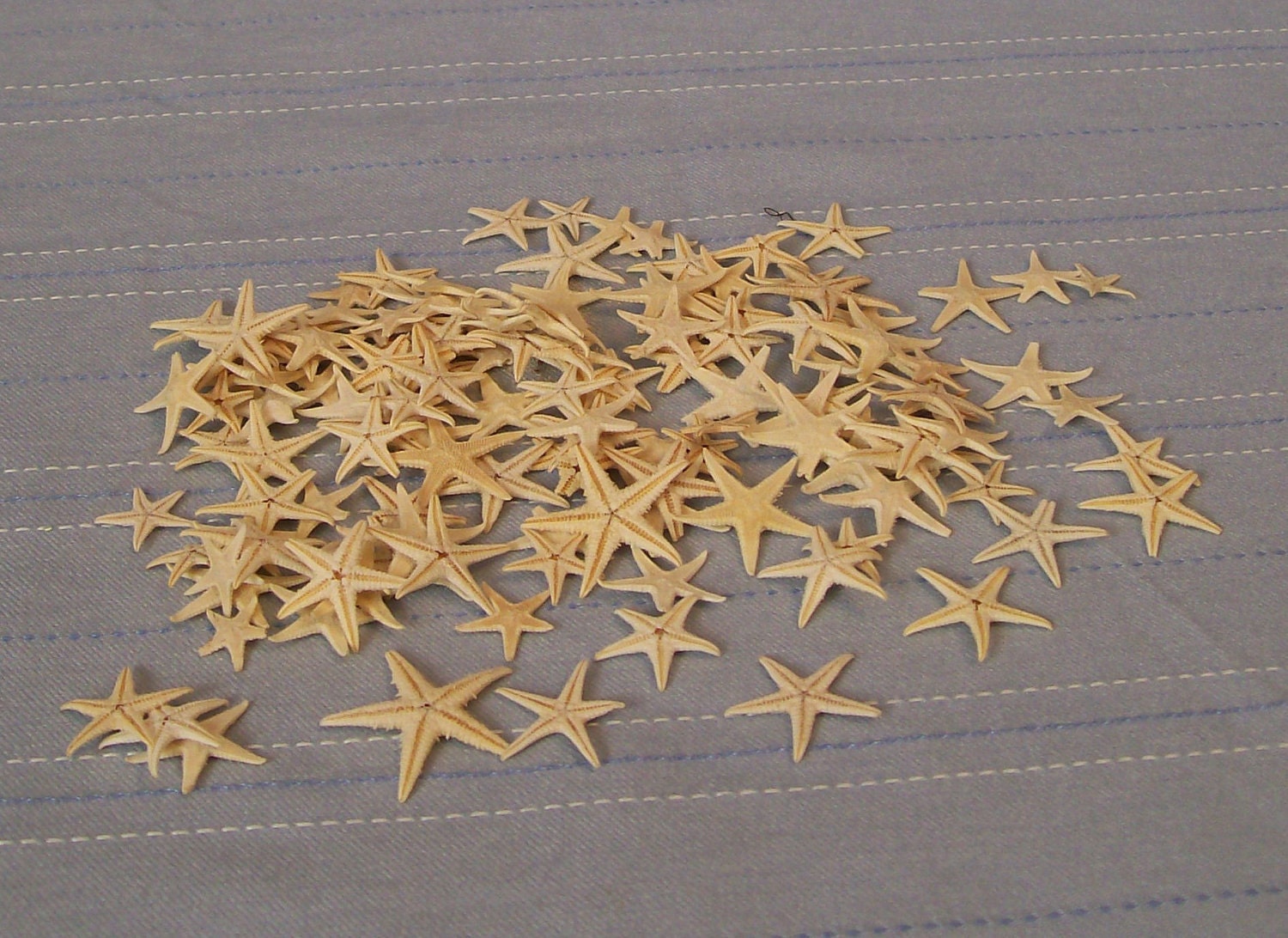 SF-1...Tiny Star Fish...One Lot of 125 Plus...Great for Crafting...Terarriums...Animal Habitats