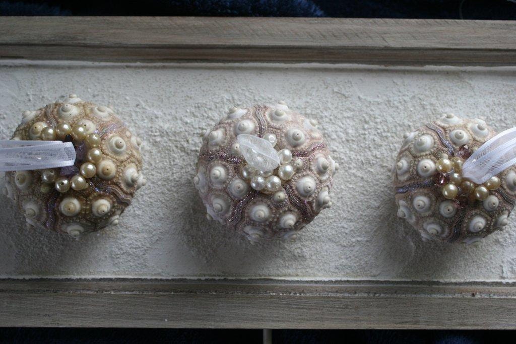 3 Genuine Sputnik Sea Urchin Ornaments: SET OF THREE