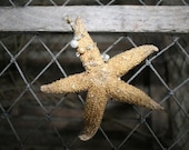 Natural Genuine Beaded STARFISH