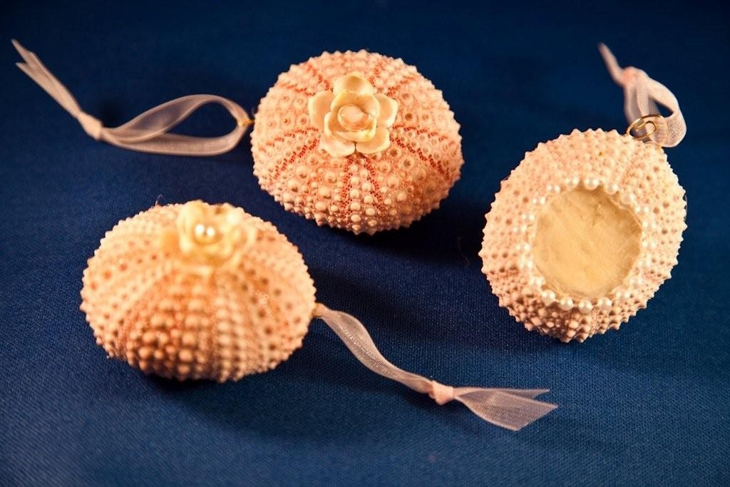 3 Pink Sea Urchin Ornaments. Set of THREE Genuine Pink Urchins