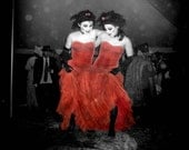 Siamese Dream 11 by 14 Photograph