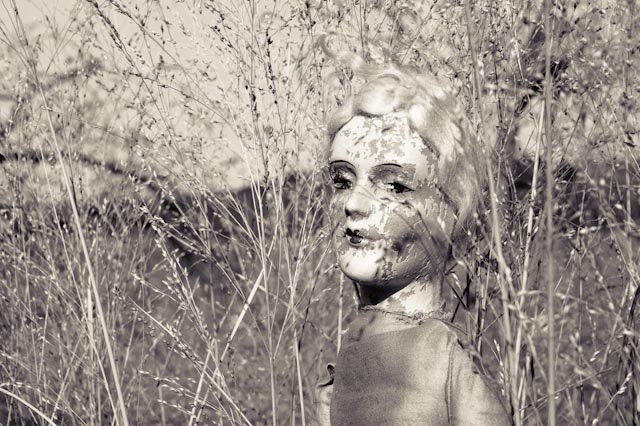 Luna - Large 20 X 14 Wall Decor Fine Art Print Surreal Black and White Photograph of an Antique Doll in a Field