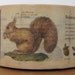 mt kamoi washi masking tape - animals