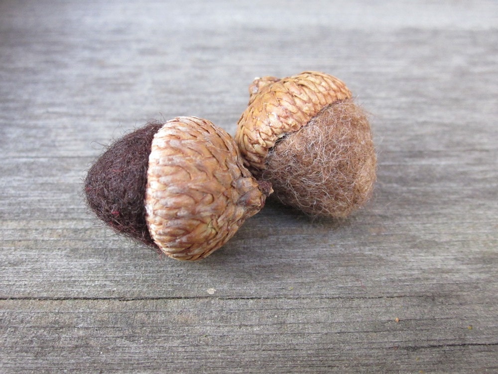Felted Acorns - Rustic Brown Natural - Set of 6