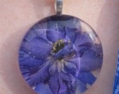 July's Birth Flower.Purple Larkspur  1.5 inch  glass round.