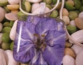 Beautiful Larkspur. July Birth Flower. Published in Woman's World Magazine. May 10,  2010.