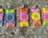Retro Color Splash of Daisies.  Springtime at it's best.  Real pressed flowers behind glass 1x2 rectangle.