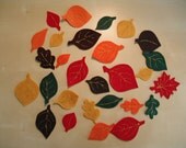 Fall Leaves
