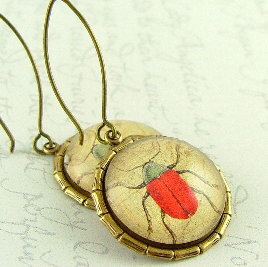 Entomology Red Beetle Earrings - Insect Jewelry