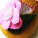 Felt Baby Shoes - Mustard Hot Pink
