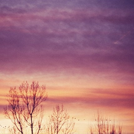 purple peach sunset nature photograph / twilight, sundown, apricot, violet, lavender / purple skies / 8x8 fine art photo, pearl finish - shannonpix purple peach sunset nature photograph / twilight, sundown, apricot, violet, lavender / purple skies / 8x8 fine art photo, pearl finish - shannonpix
