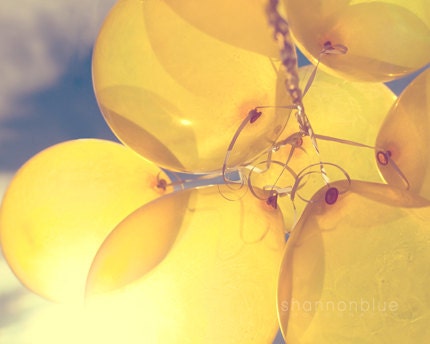 yellow balloon photograph / sunny, lemon yellow, blue sky, birthday, party, sun / shine through / 8x10 fine art photo - shannonpix