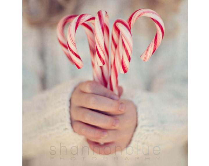 candy cane christmas photography / holiday decor, hands, peppermint, stripes, child, winter, red, white / 8x8 fine art photo