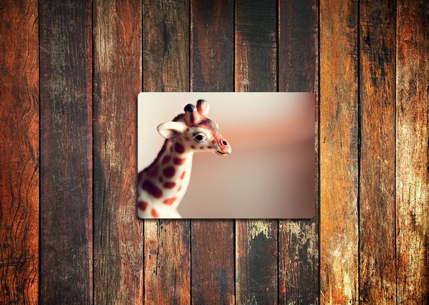 giraffe photo magnet / kitchen decor, fine art photograph, zoo animal, child's toy, rust, brown, neutral tones
