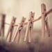 clothespins photograph / clothes pin, rustic, earth tones, laundry, clothesline, brown, still life / family of five / 8x10 fine art photo
