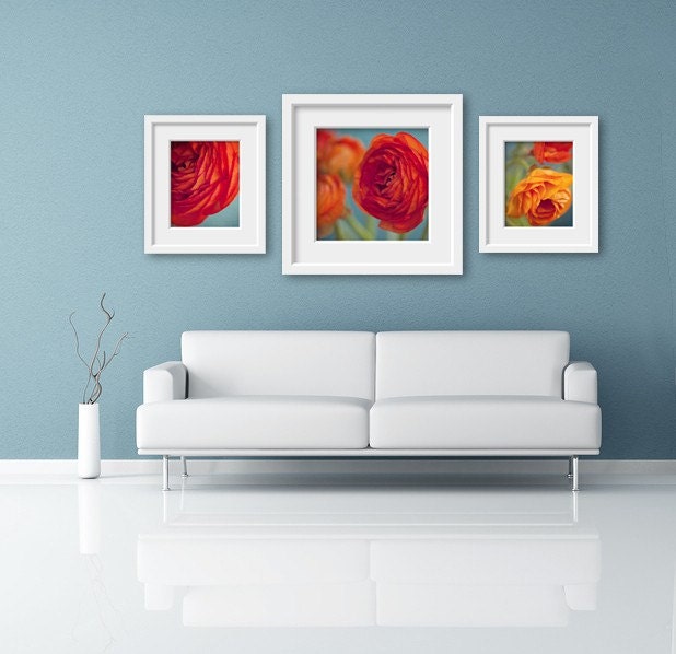 orange red flower botanical photograph / layers, close-up, ranunculus, turquoise, robins egg blue, aquamarine / orangey - 8x10