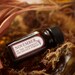 November in the Temperate Deciduous Forest - natural perfume oil