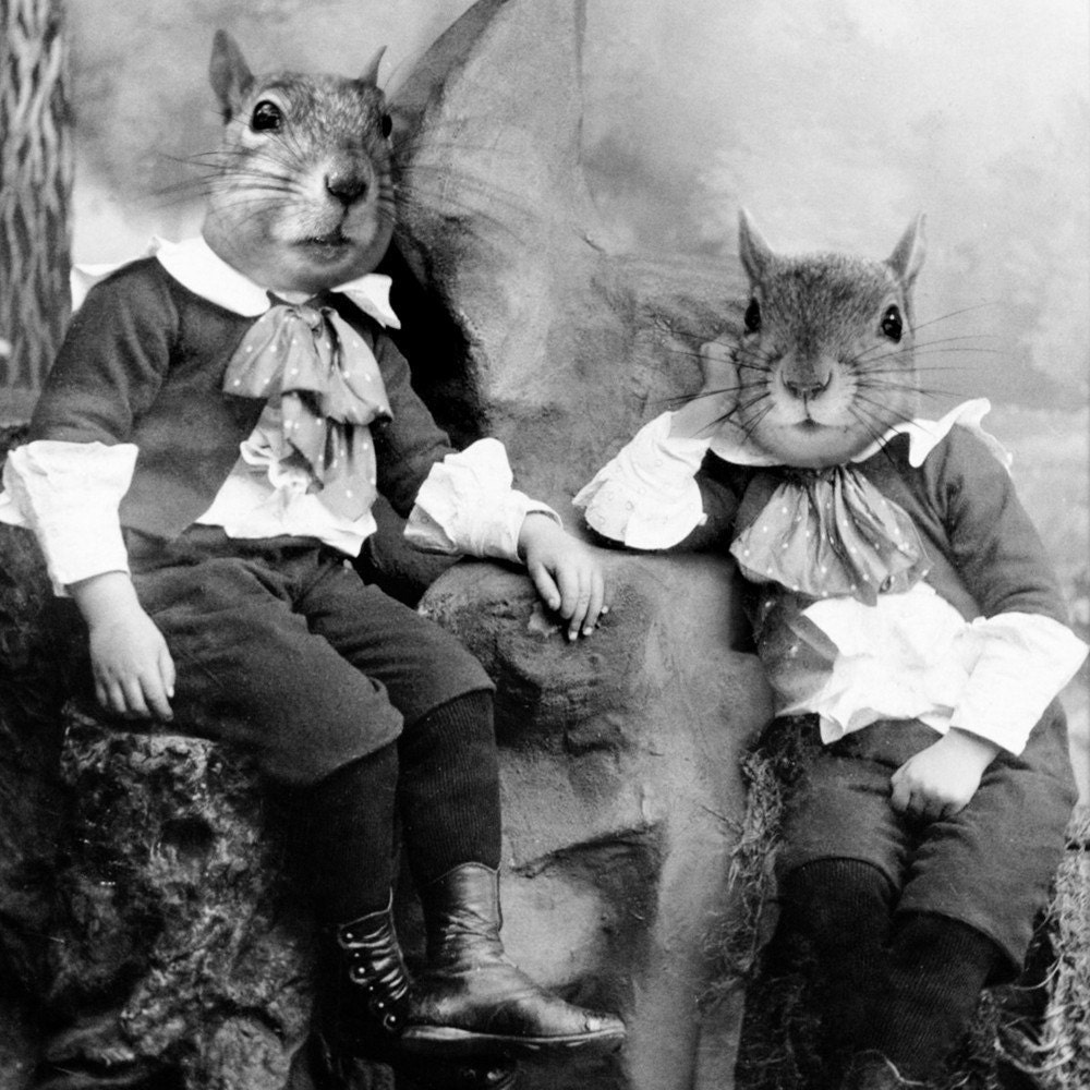 5x7 The Squirrelton Twins - Squirrrel Photographic Art Print