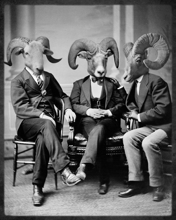8x10 Brotherhood of the Ram - Ram Photographic Art Print