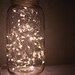 Lightning Bug Mason Jar by ShelbyLea - Half Gallon Plug In