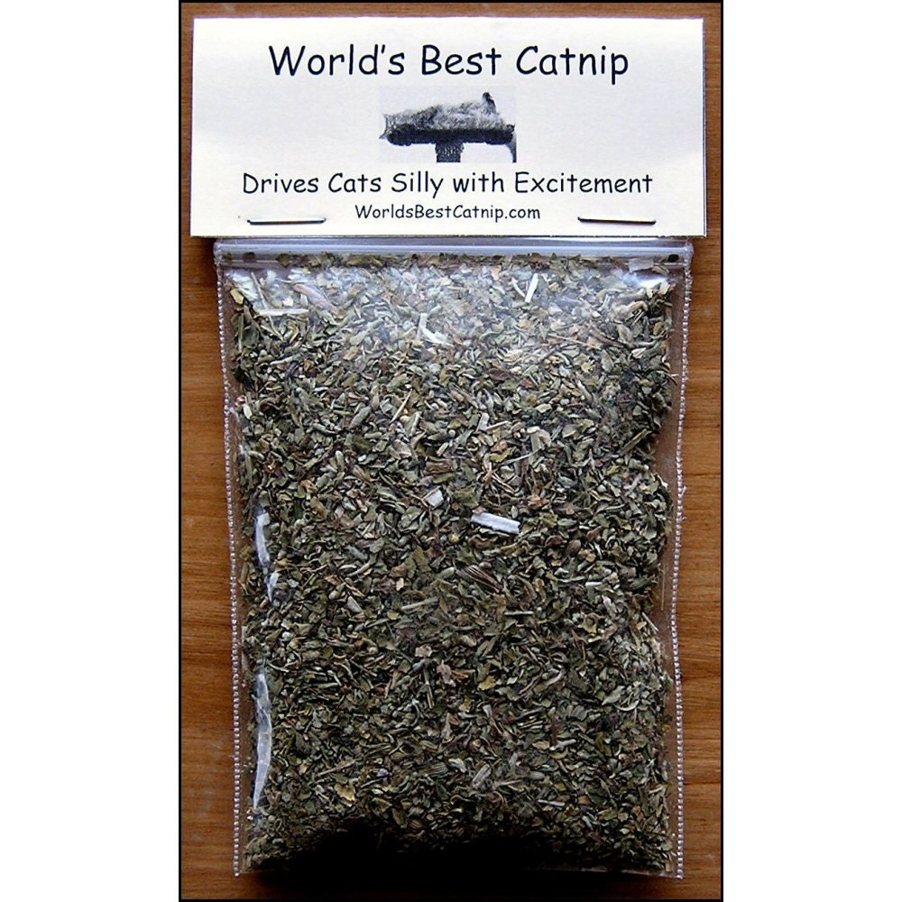 catnip for cats