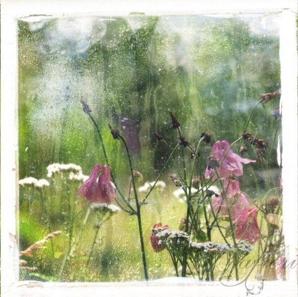 Visual Poetry 1, Fine art photograph, pale pink garden, 8 x 8