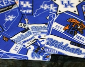 Quilted Coasters - School Spirit - University of Kentucky (set of 4)