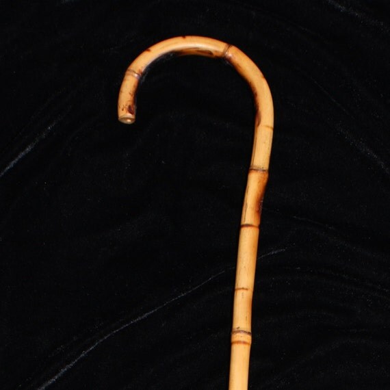 SALE Vintage bamboo cane walking stick by blueapplevintage on Etsy
