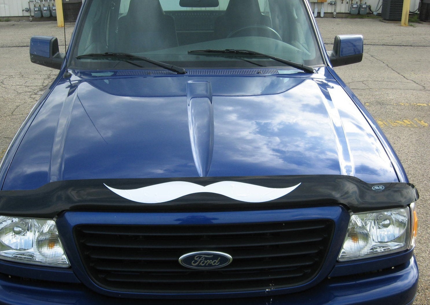 HUGE Mustache 2x Decal Sticker For Truck Bug Guard Sexy Car
