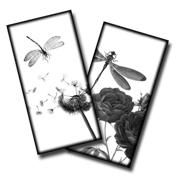 Dragonflies in Nature No1 - 1x2 inches - Digital collage sheet
